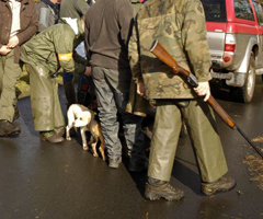 El 60 por ciento de las licencias de caza dadas en A Coruña desde 2010 son falsas